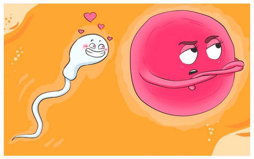 Medic obstetrician-ginecolog despre fereastra fertilă: Iată când ai cele mai mari șanse să rămâi însărcinată