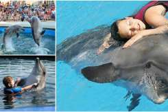 Mamă a doi copii: De ce nu sunt împotriva Delfinariului