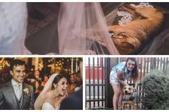 (Foto) Reacția unui cuplu după ce un câine vagabond era să le strice nunta