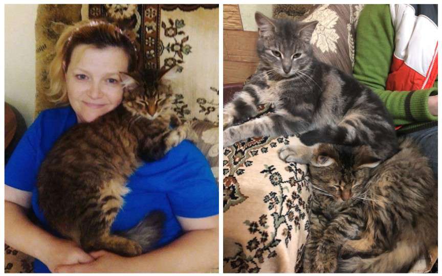 A intrat în curtea unui om pentru a-i lua cățeii. Povestea unei moldovence care salvează animalele nimănui