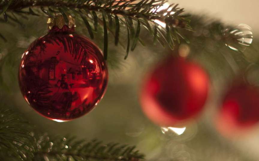 Record mondial: O familie are 444 de brazi împodobiți în casă. Imagini unice!