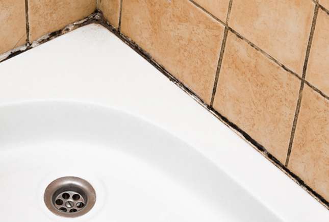 Mucegai în baie? Iată cum scapi de el uşor