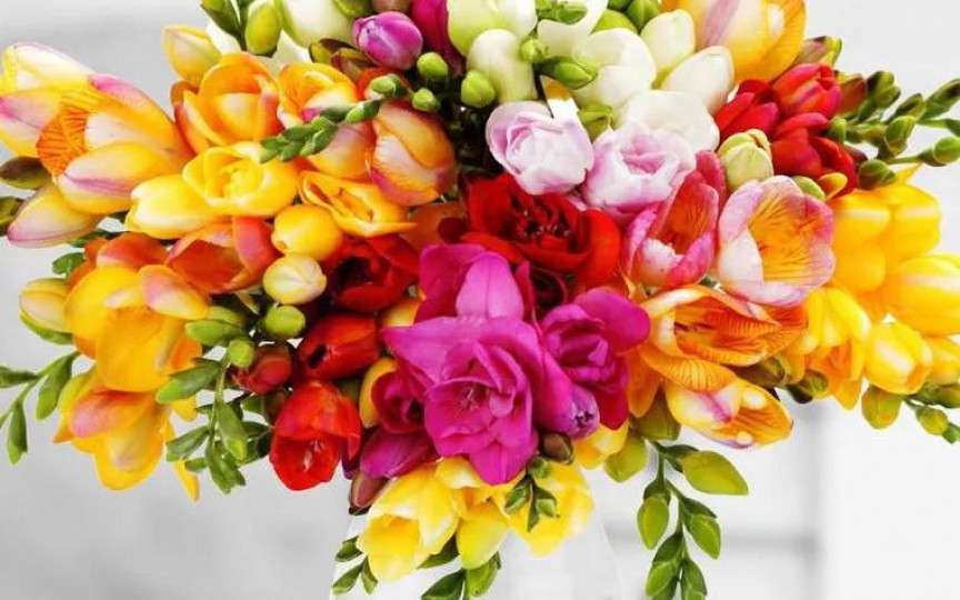 Trucul ingenios care ne poate ține florile în viață mai mult timp! Ai nevoie de oțet și zahăr