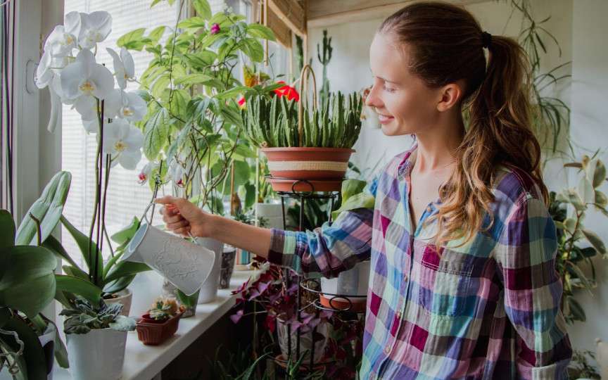 Este bine să uzi florile cu apă caldă? Află răspunsul de la un expert
