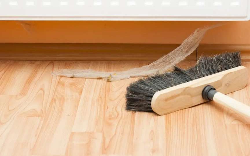 Soluția naturală împotriva păianjenilor: Spune adio pânzelor din casă fără chimicale