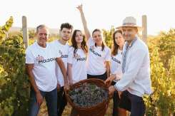 EcoExpirience – Evadări de o zi și vinuri artizanale în Riviera Nistrului
