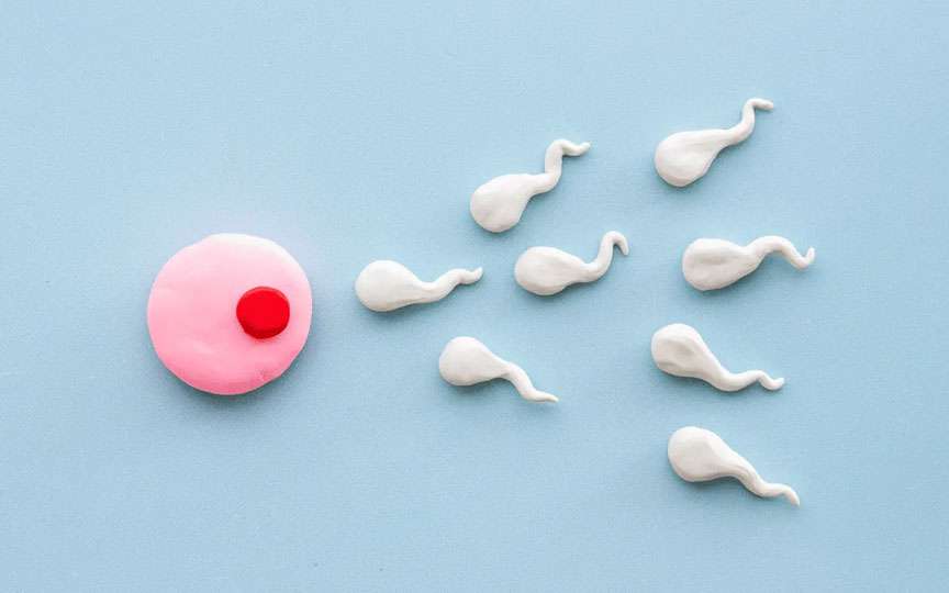Când începe sarcina după un act sexual: etape, implantare și fereastra fertilă