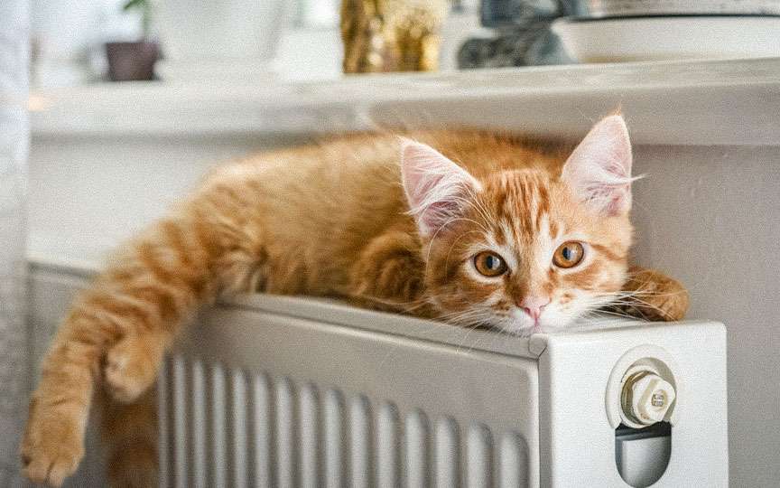 5 pericole pentru sănătate în sezonul încălzirii și cum să le eviți