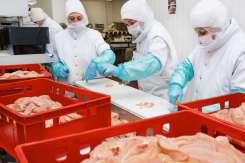 Noi reguli pentru siguranța alimentelor în Moldova privind substanțele interzise
