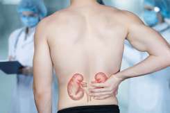 De ce dor rinichii: simptome, cauze și diferența față de durerea de spate