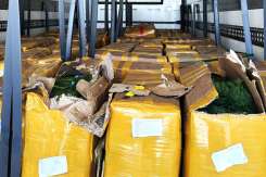 Mărar, pătrunjel și hrișcă de import, nimicite în urma controalelor ANSA