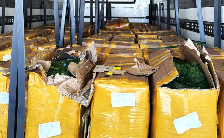 Mărar, pătrunjel și hrișcă de import, nimicite în urma controalelor ANSA