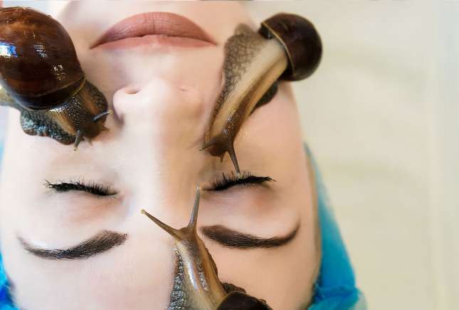Cosmetica cu mucus de melc: ce spune știința despre beneficiile reale pentru piele