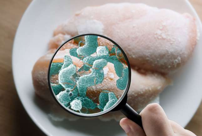 Unde poți lua Escherichia coli: un medic epidemiolog explică locurile cu risc real