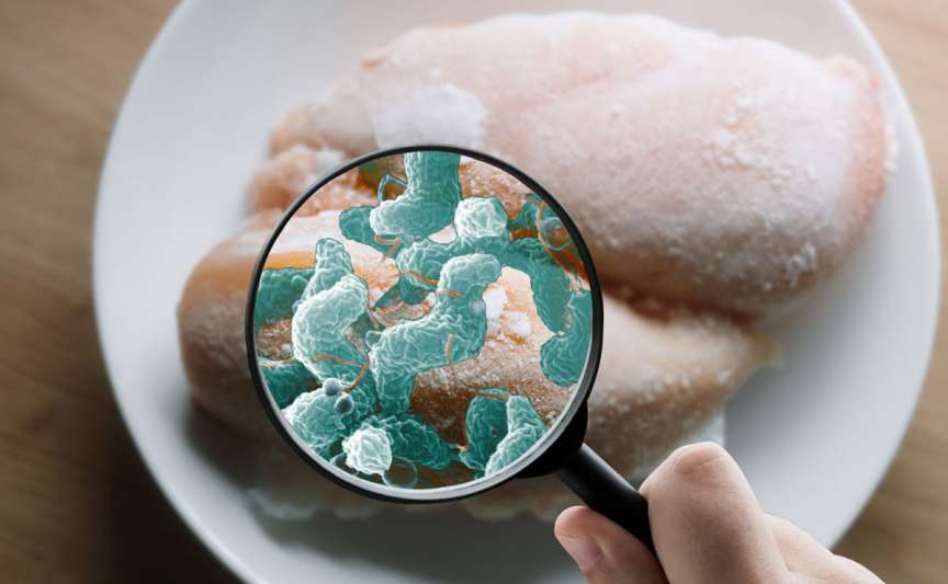Unde poți lua Escherichia coli: un medic epidemiolog explică locurile cu risc real