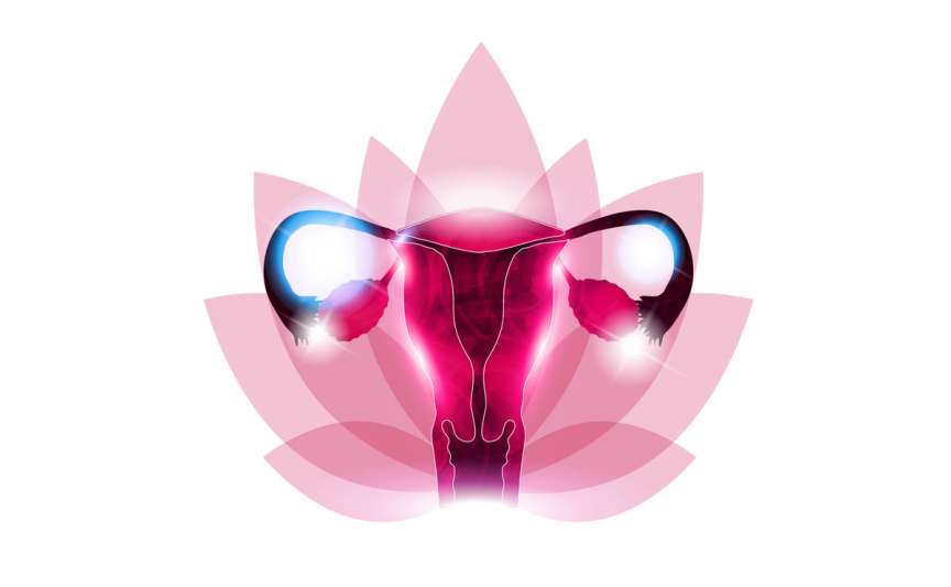 Fibromul uterin – cauze, simptome, diagnostic și tratament